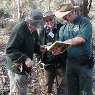 Ringwood Field Naturalists Club, RFNC